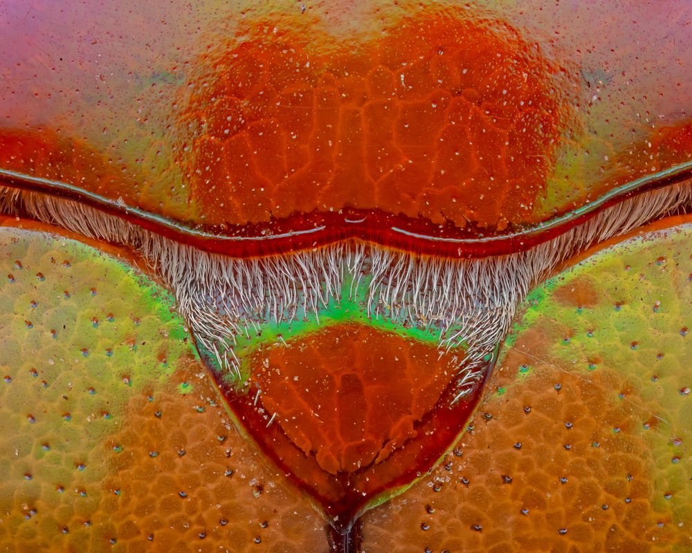 Фотография автора Craig Loechel