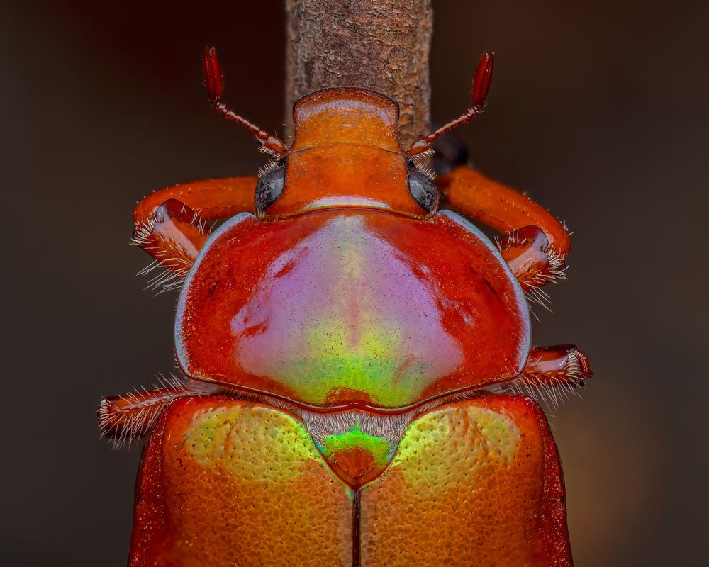 Photograph by Craig Loechel