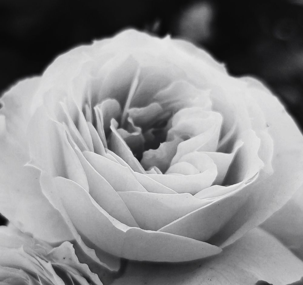 Photograph by Юлиана Чудакова