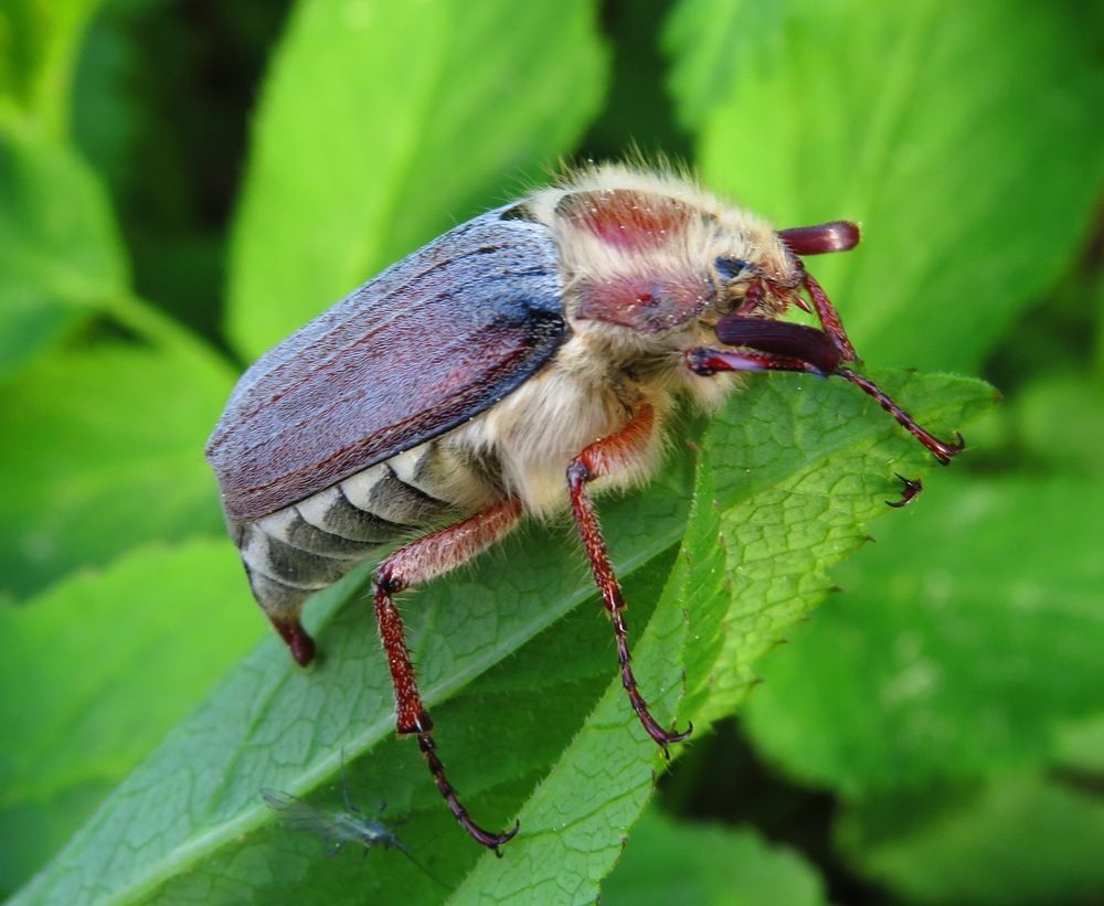Готовится взлететь