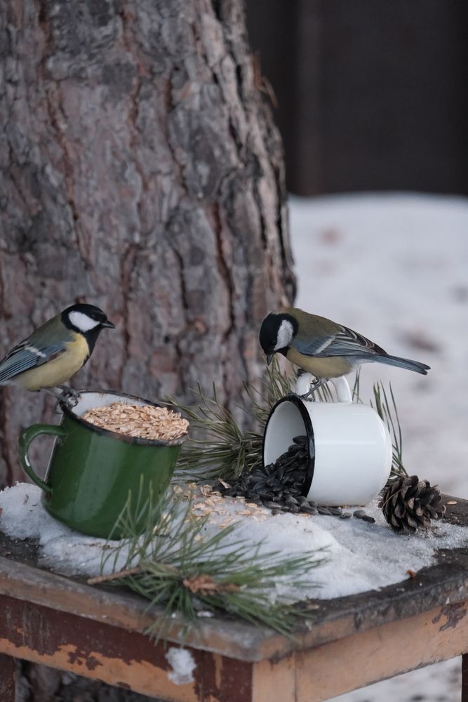 Photograph by Яна Истоцкая