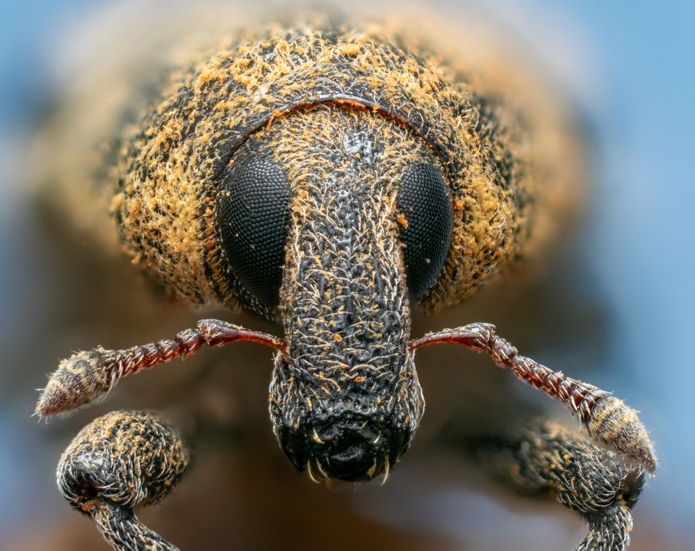 Photograph by Глеб Коровко