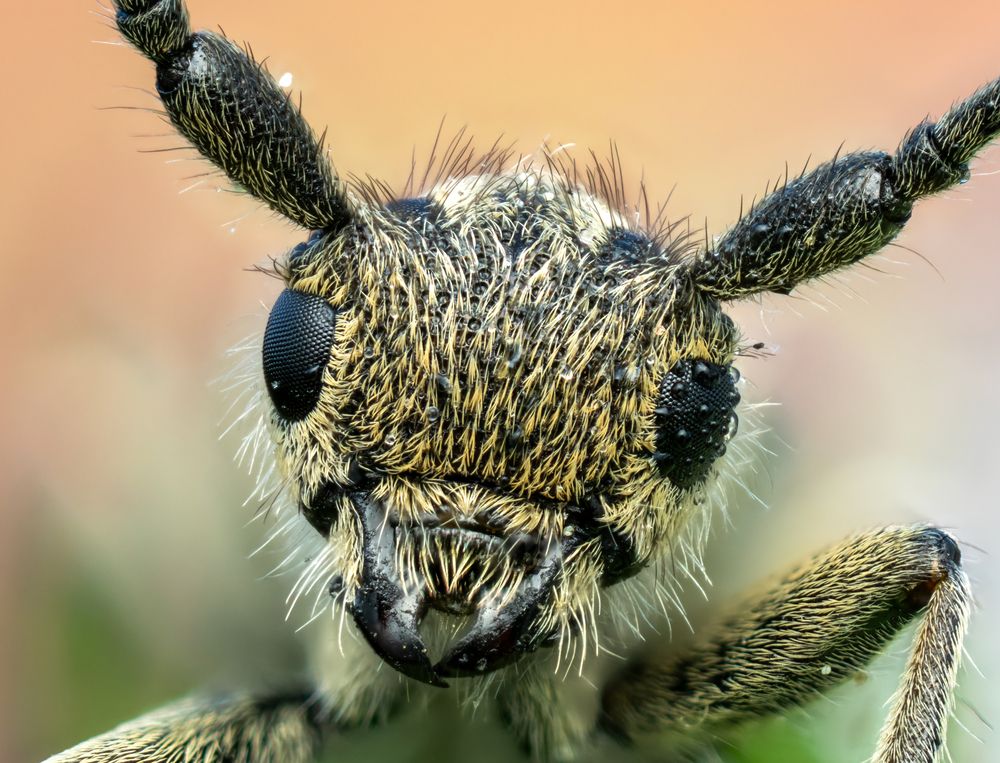 Photograph by Глеб Коровко