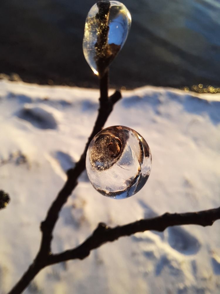 Photograph by Volha Hiria