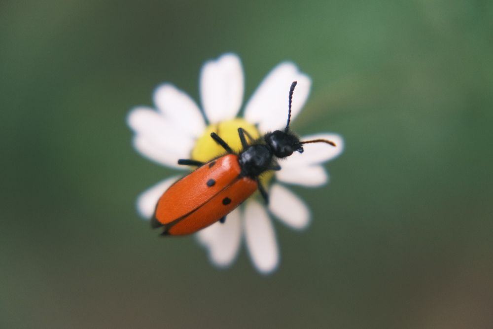 Photograph by Яна Истоцкая