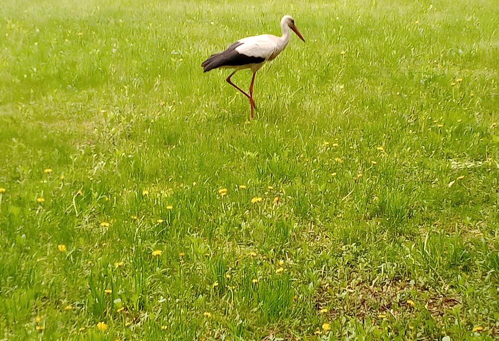 Photograph by Елена Сухорученкова