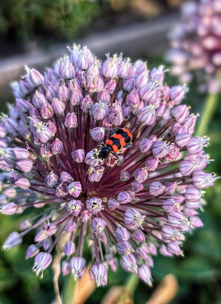 Photograph by Любовь Колмакова