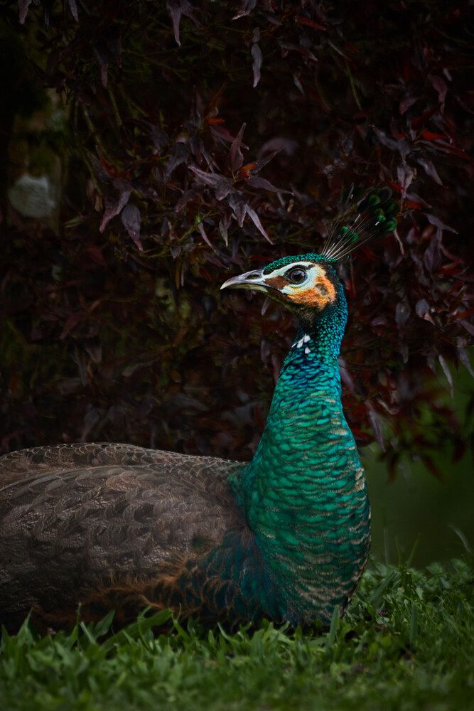 Photograph by Павел Золенко