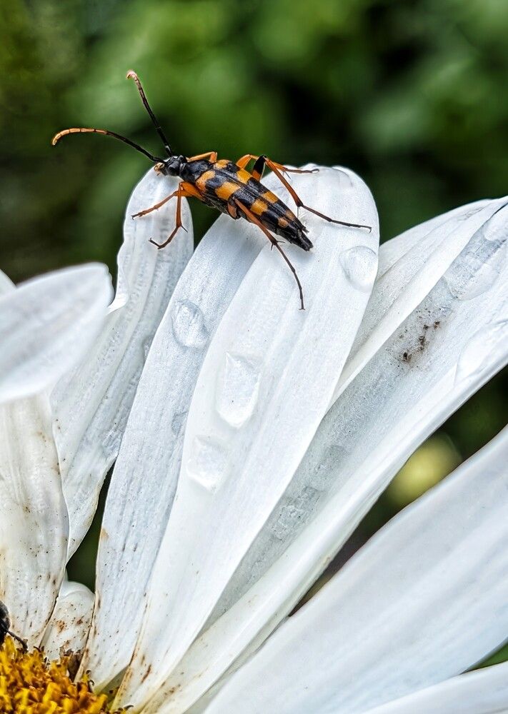 Photograph by Любовь Колмакова