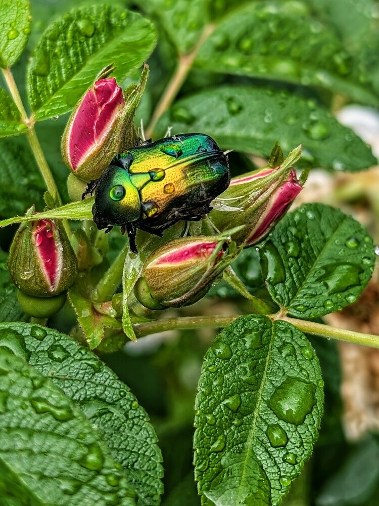 Photograph by Любовь Колмакова