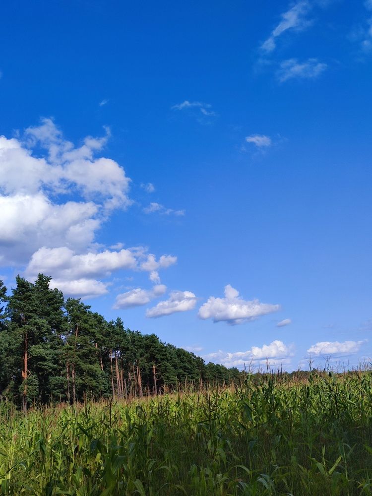 Photograph by Инна Новикова