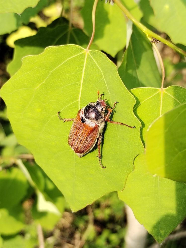 Photograph by Юлия Ю