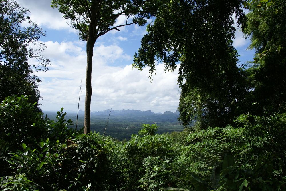 Фотография автора Александр Ахоньков