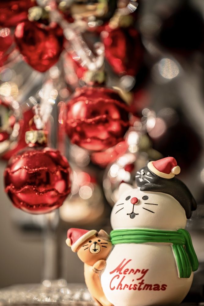 Photo #13188330