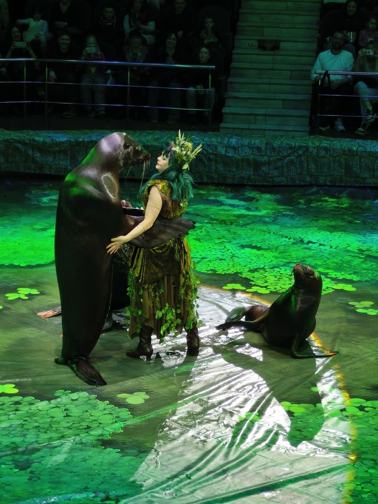 Photograph by Марина Опарина