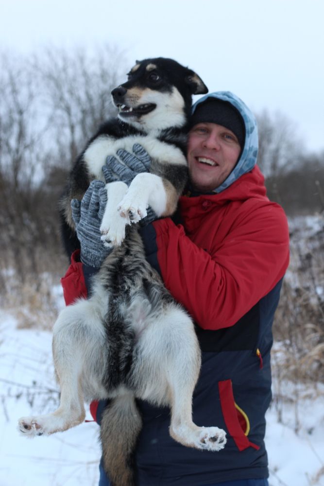 Фотография автора Андрей Шестаков