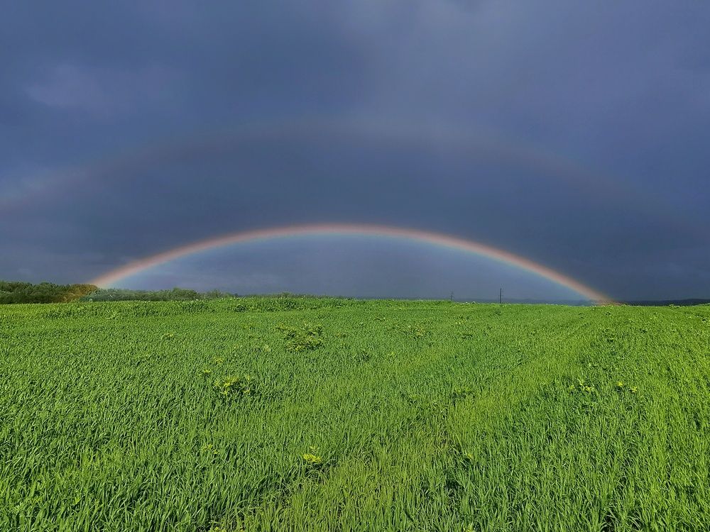Фотография автора Андрей Шестаков