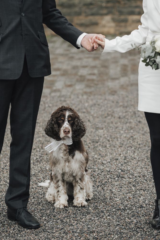 Photograph by Olga Seripo