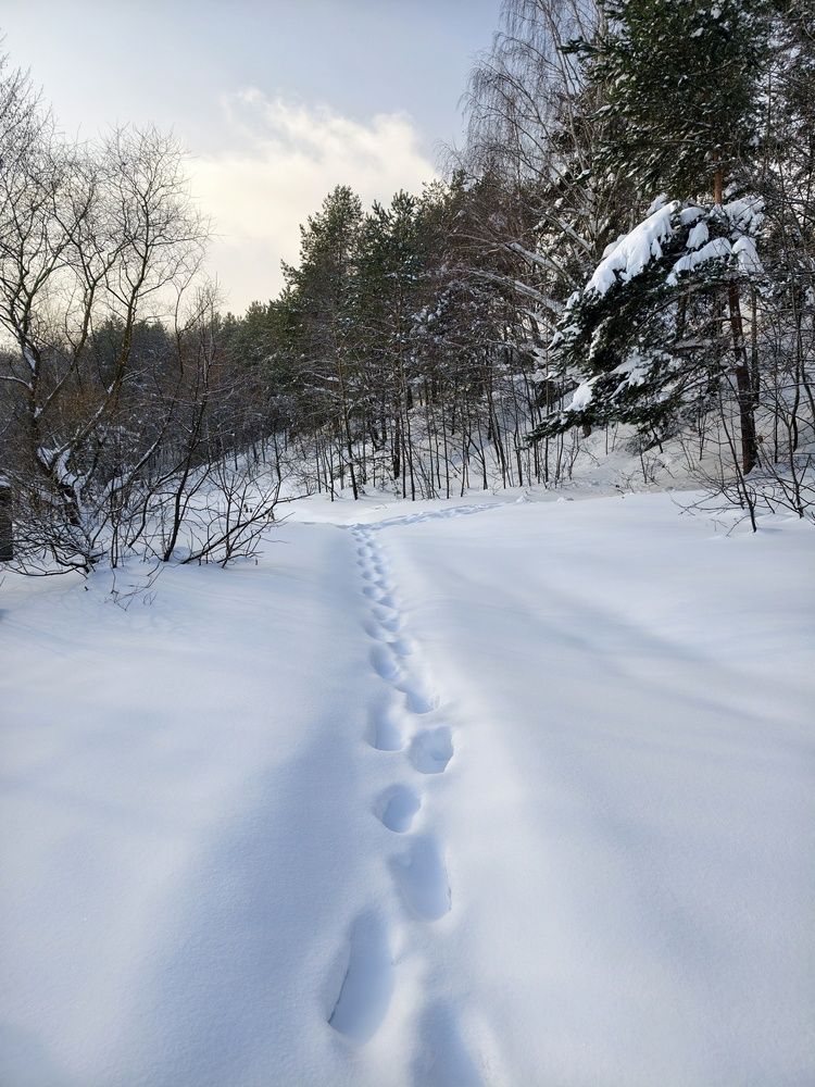 Photograph by Елена Артёменко
