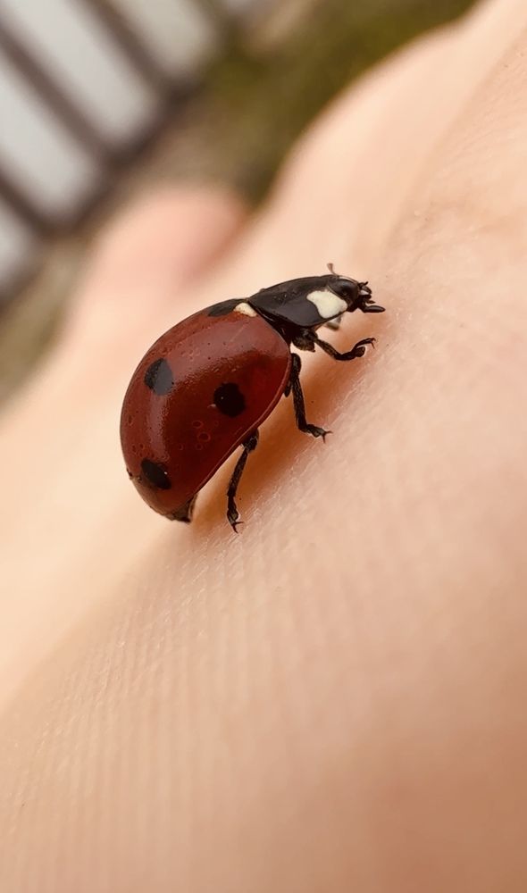 Photograph by Ксения Юртаева