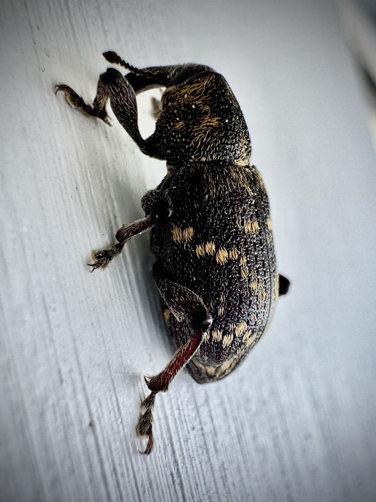 Photograph by Ксения Юртаева