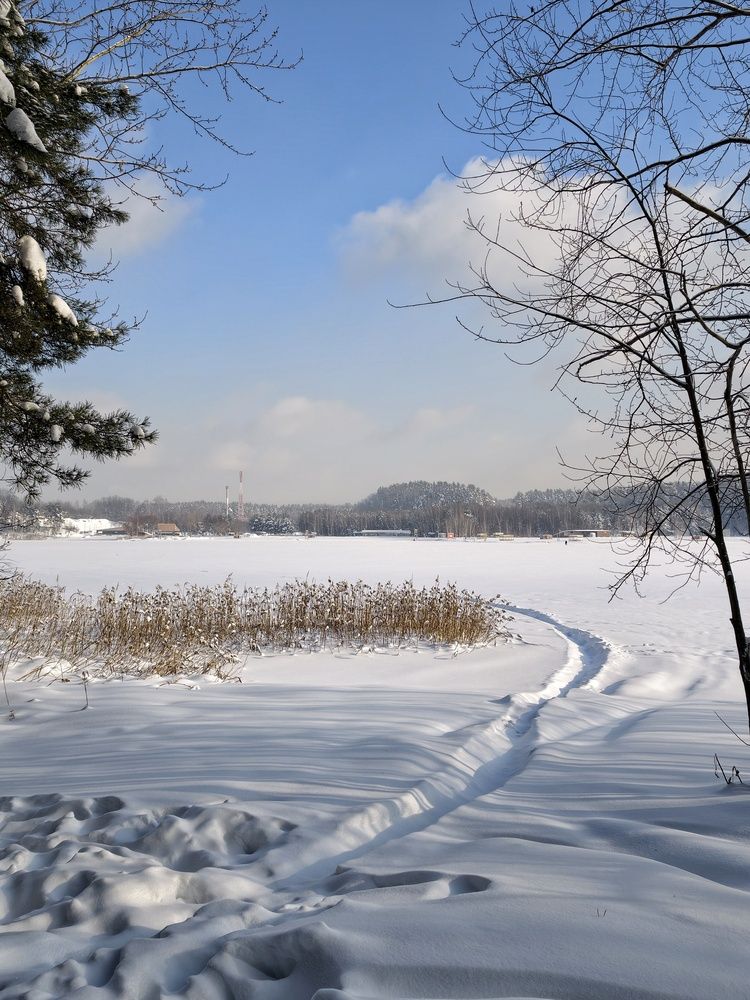 Photograph by Елена Артёменко