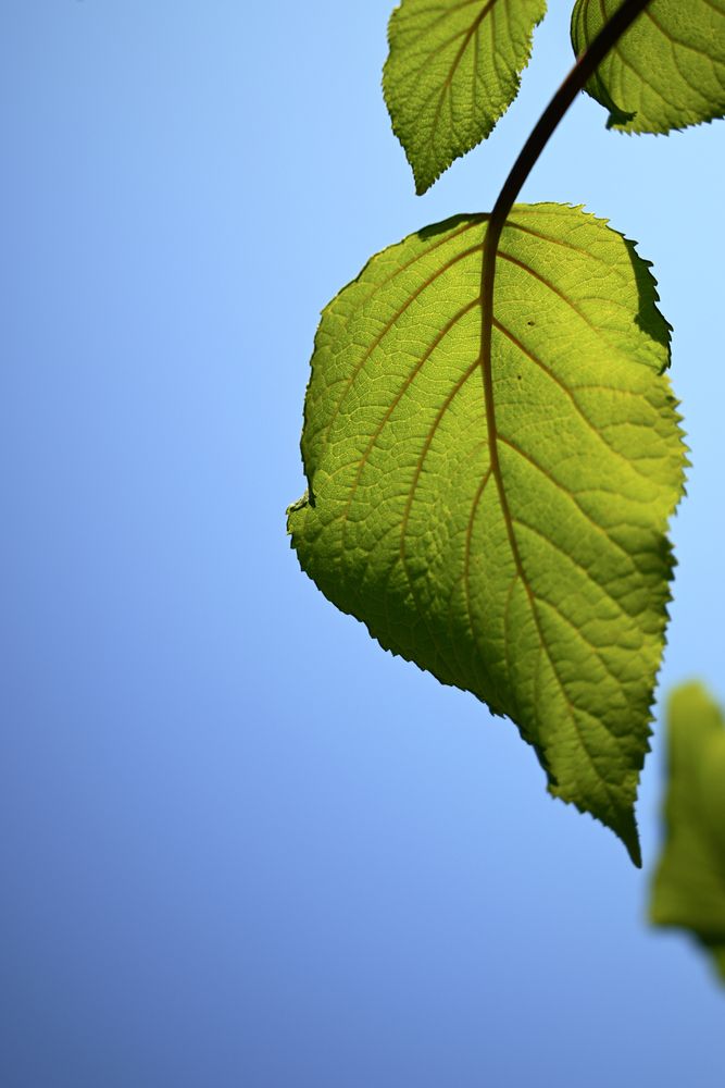 Фотография автора Алексей