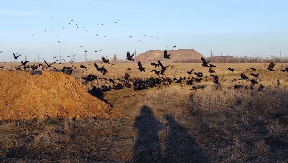 Photograph by Надежда Калинина