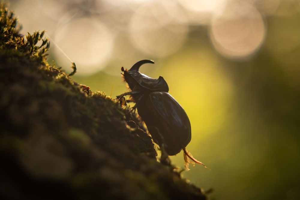 Photograph by Хабаров Сергей