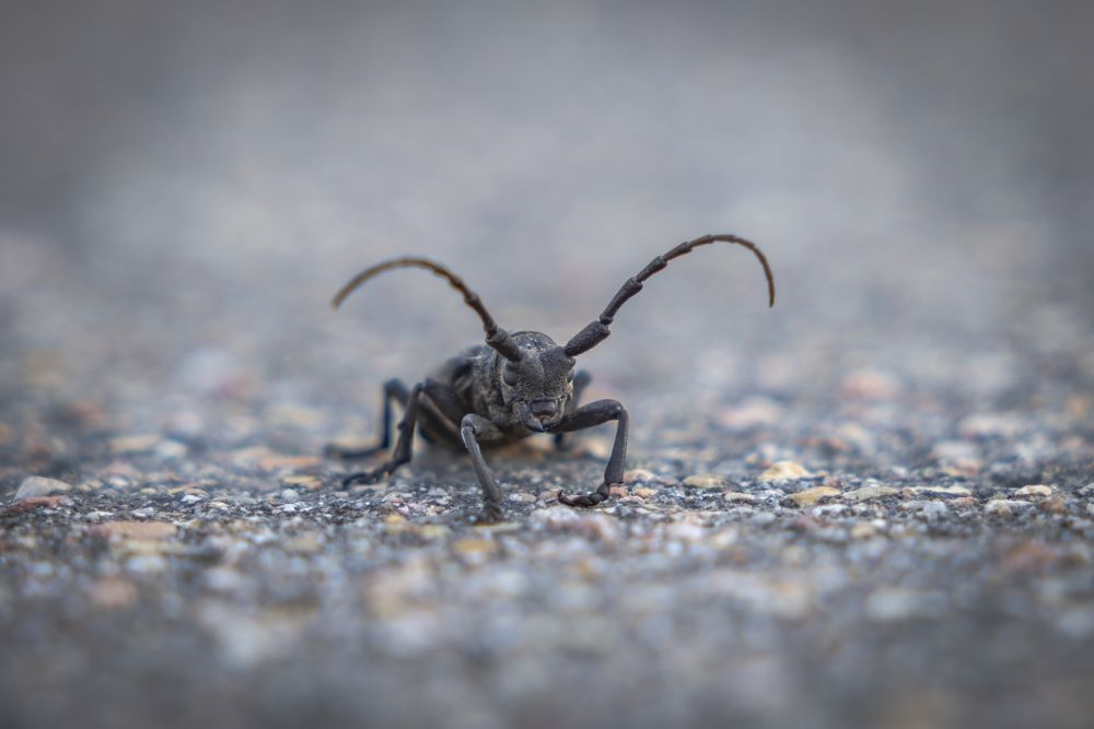 Photograph by Хабаров Сергей