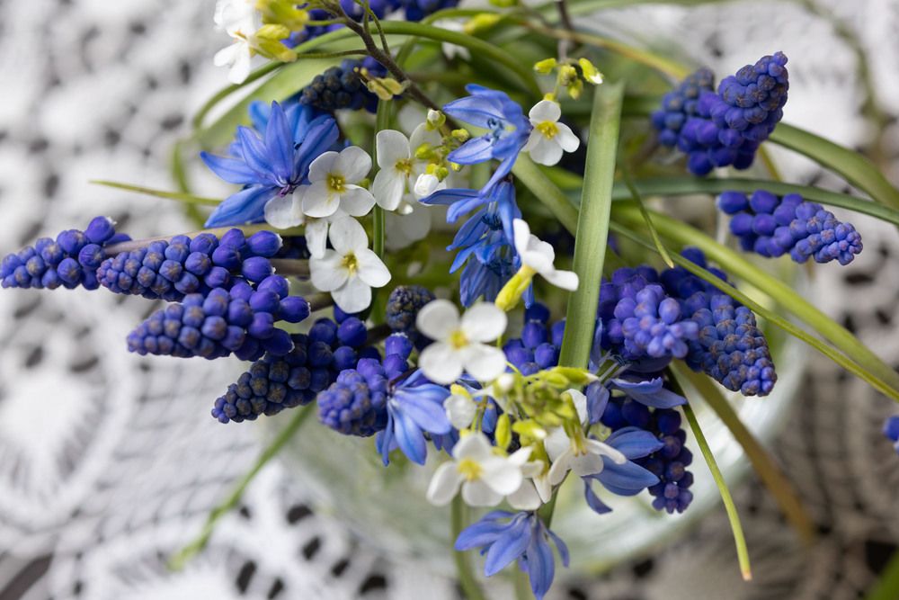 Фотография автора Наталья Латыпова