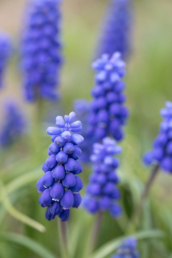 Фотография автора Наталья Латыпова