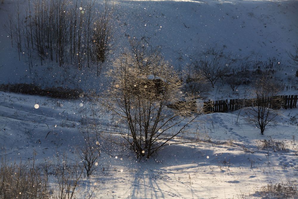 Фотография автора Алексей Борисов