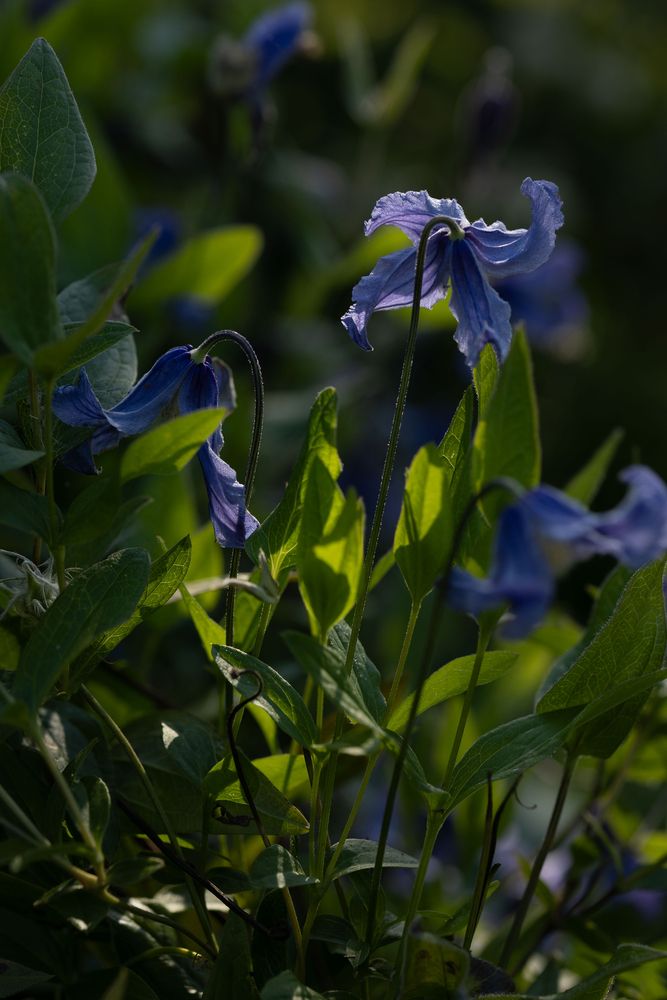 Фотография автора Наталья Латыпова