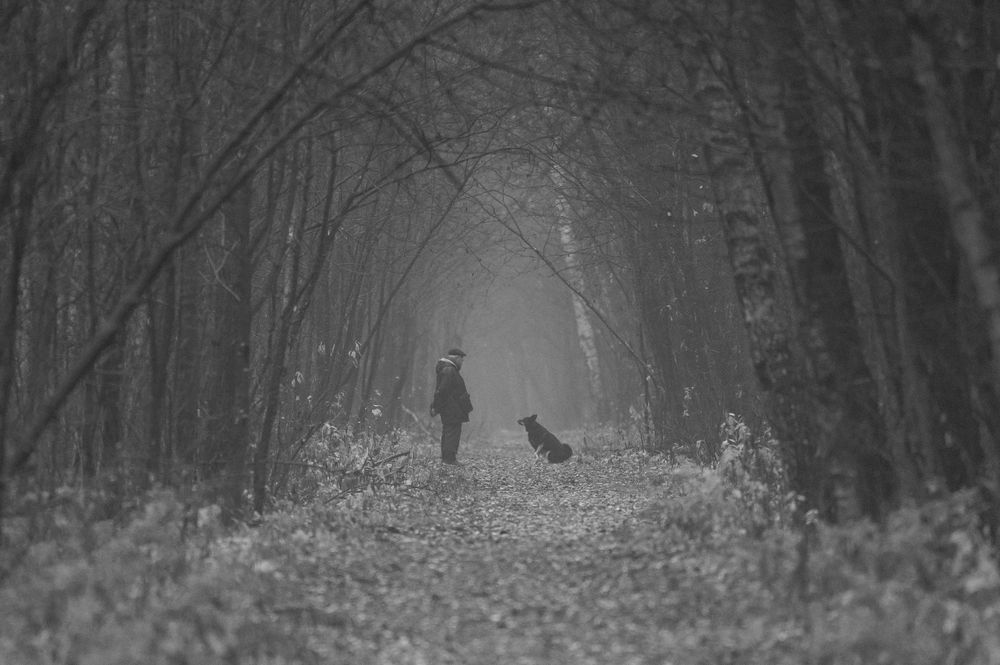 Photograph by Алексей