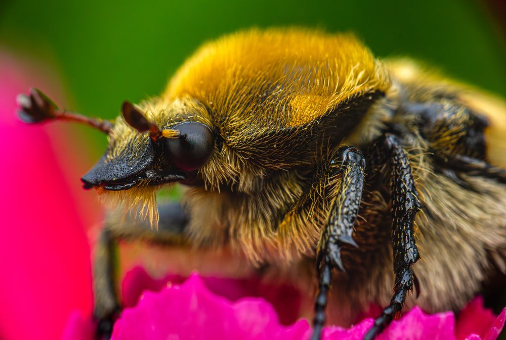 Photograph by Алексей Соколов