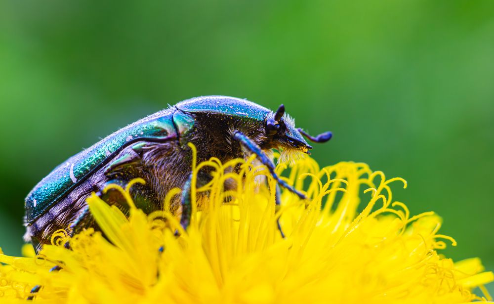 Photograph by Алексей Соколов