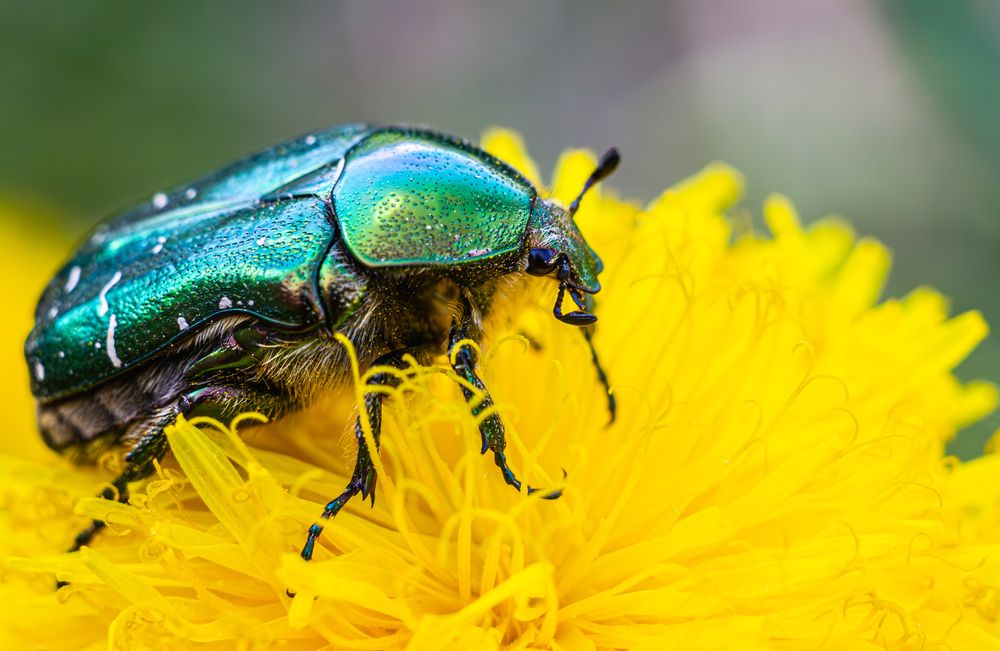 Photograph by Алексей Соколов