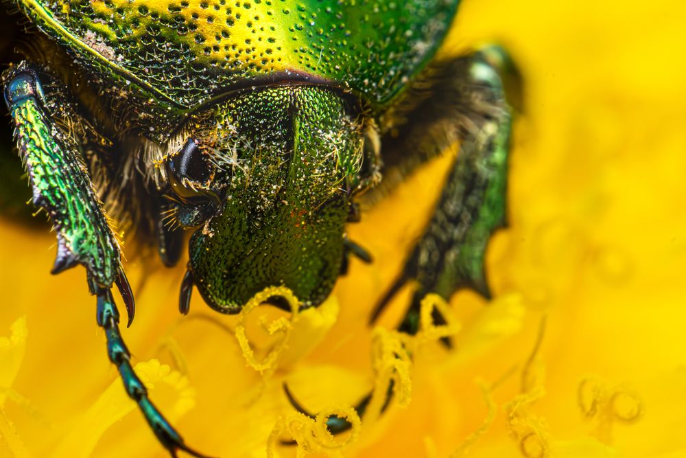 Photograph by Алексей Соколов