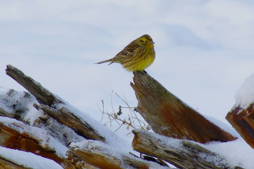 Фотография автора Jevgeni Filimonov