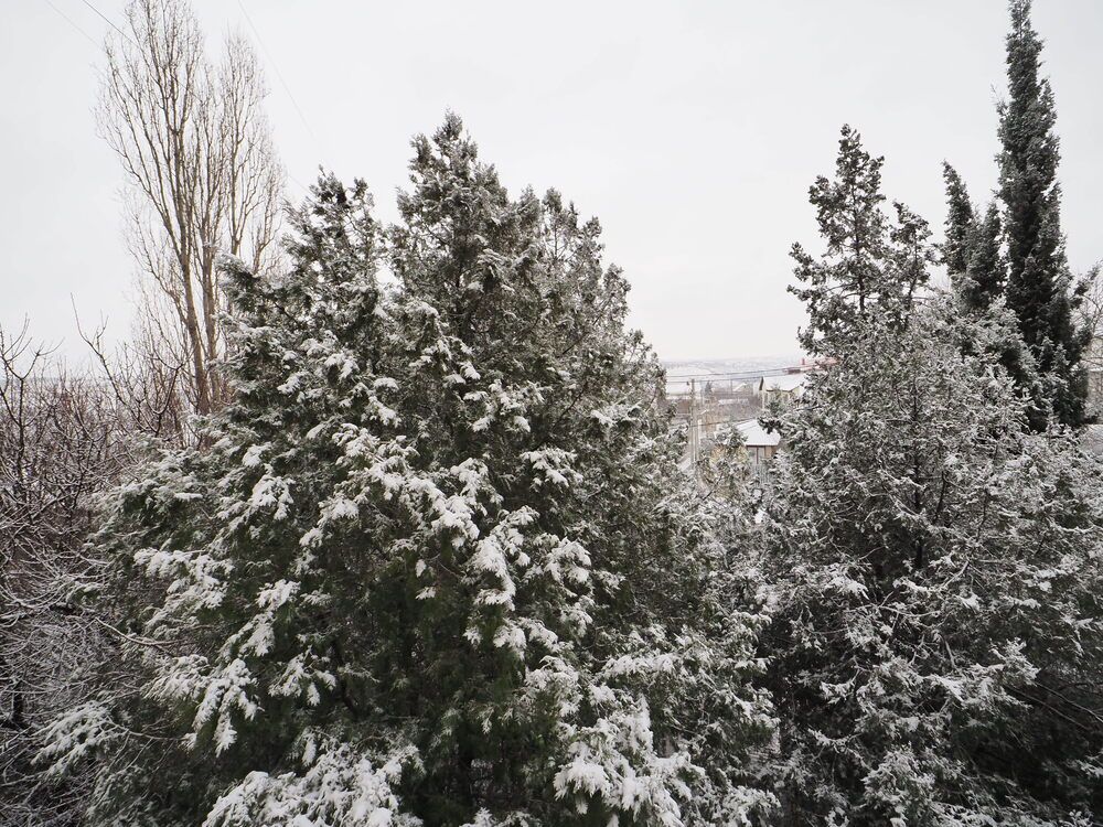 Photograph by Сергей Борисов