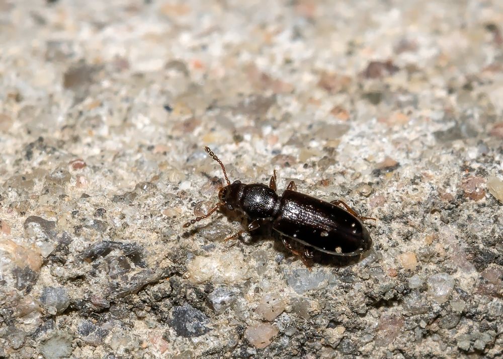 Photograph by Михаил Медведев