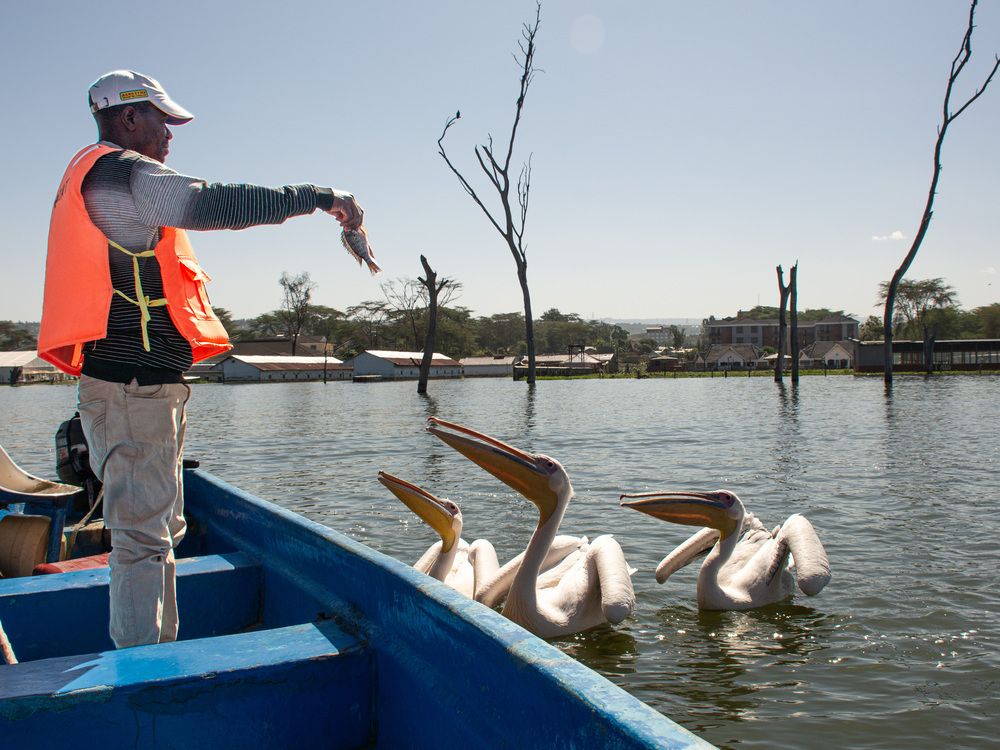 Photograph by Наталья Кокорина