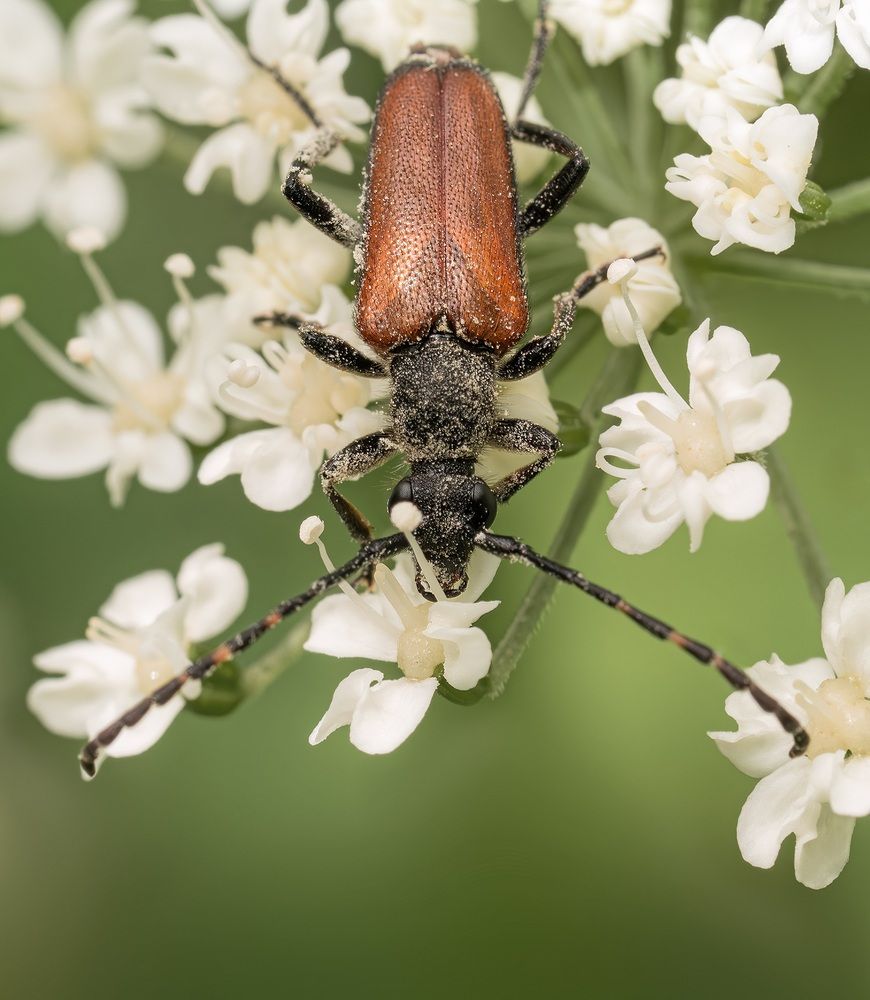 Photograph by Ворожцова Марина