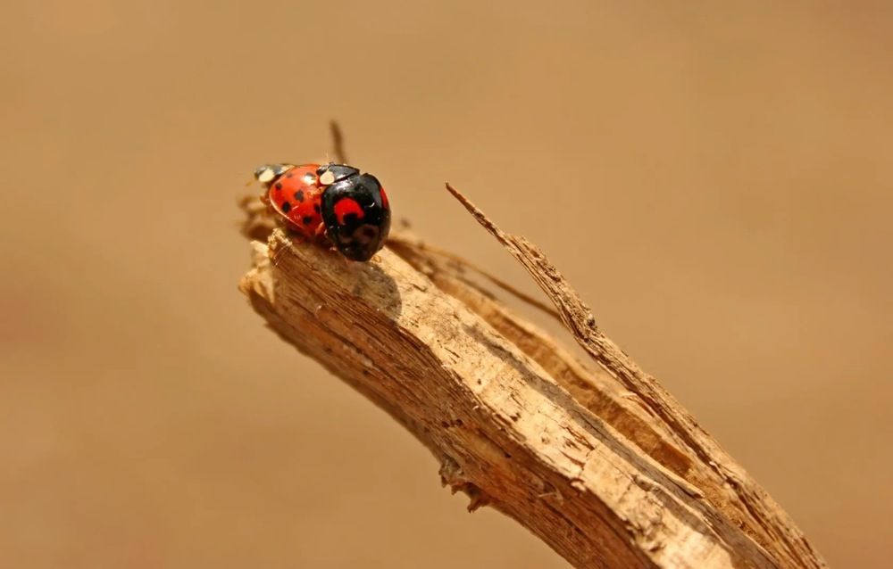 Photograph by Марина Мишутина