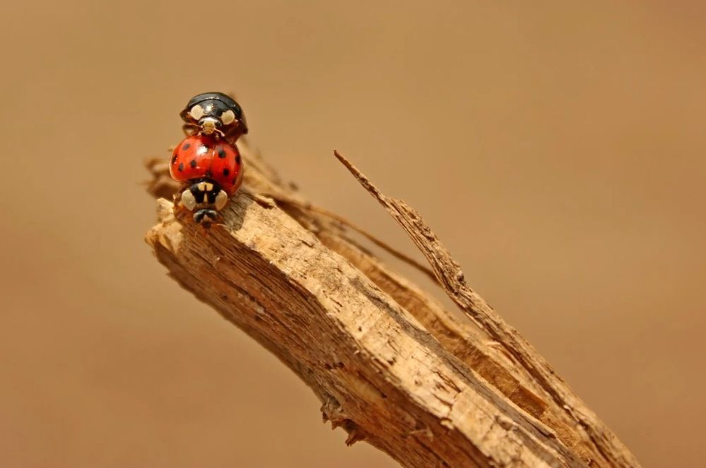 Photograph by Марина Мишутина