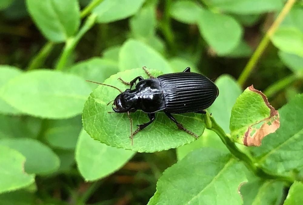 Photograph by Марина Мишутина