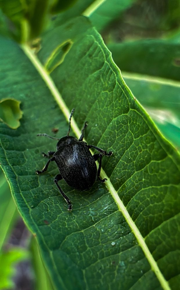 Photograph by Марина Мишутина