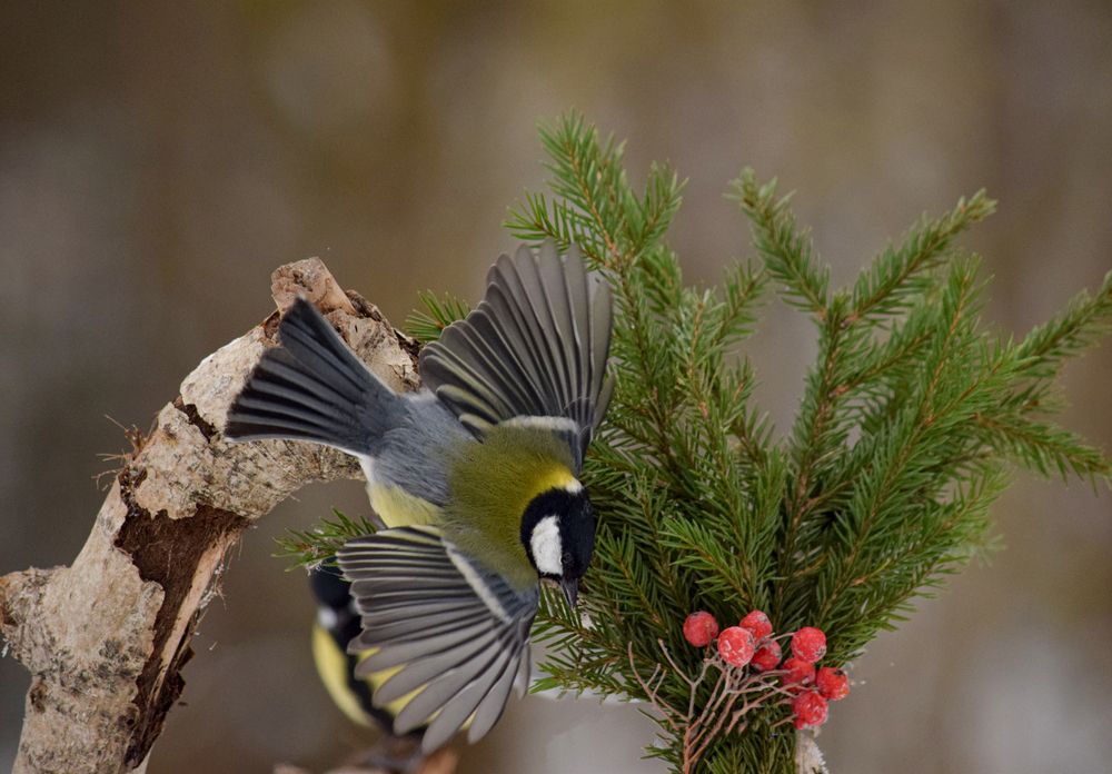 Photograph by Оксана Льдинина