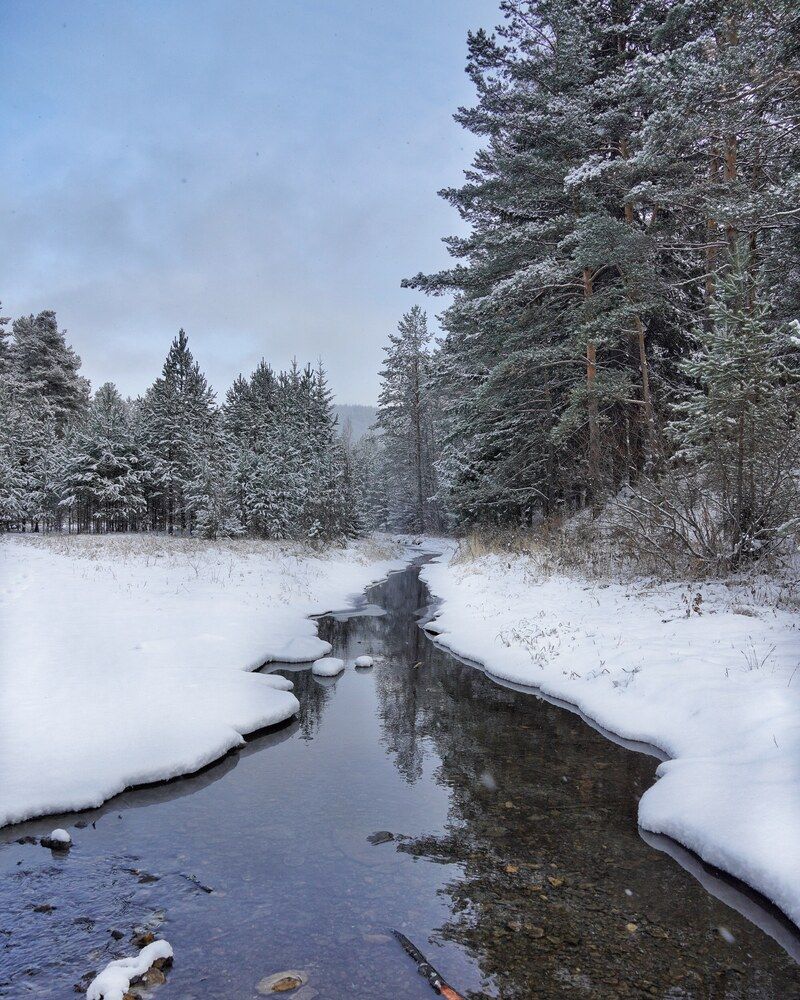 Photograph by Высотских Владимир